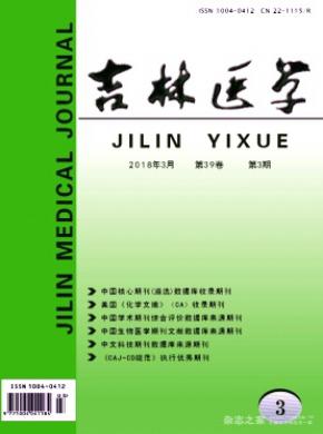 大红鹰dhy最新网站